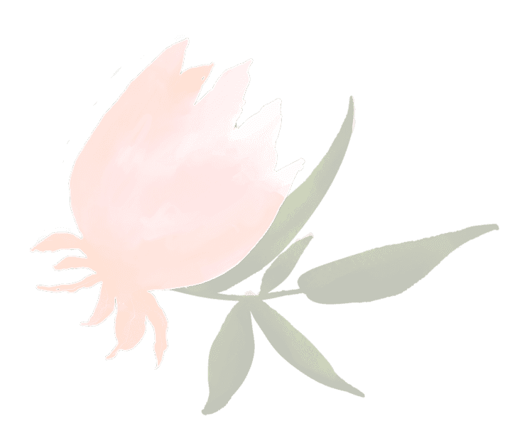 demo-attachment-127-Group-225